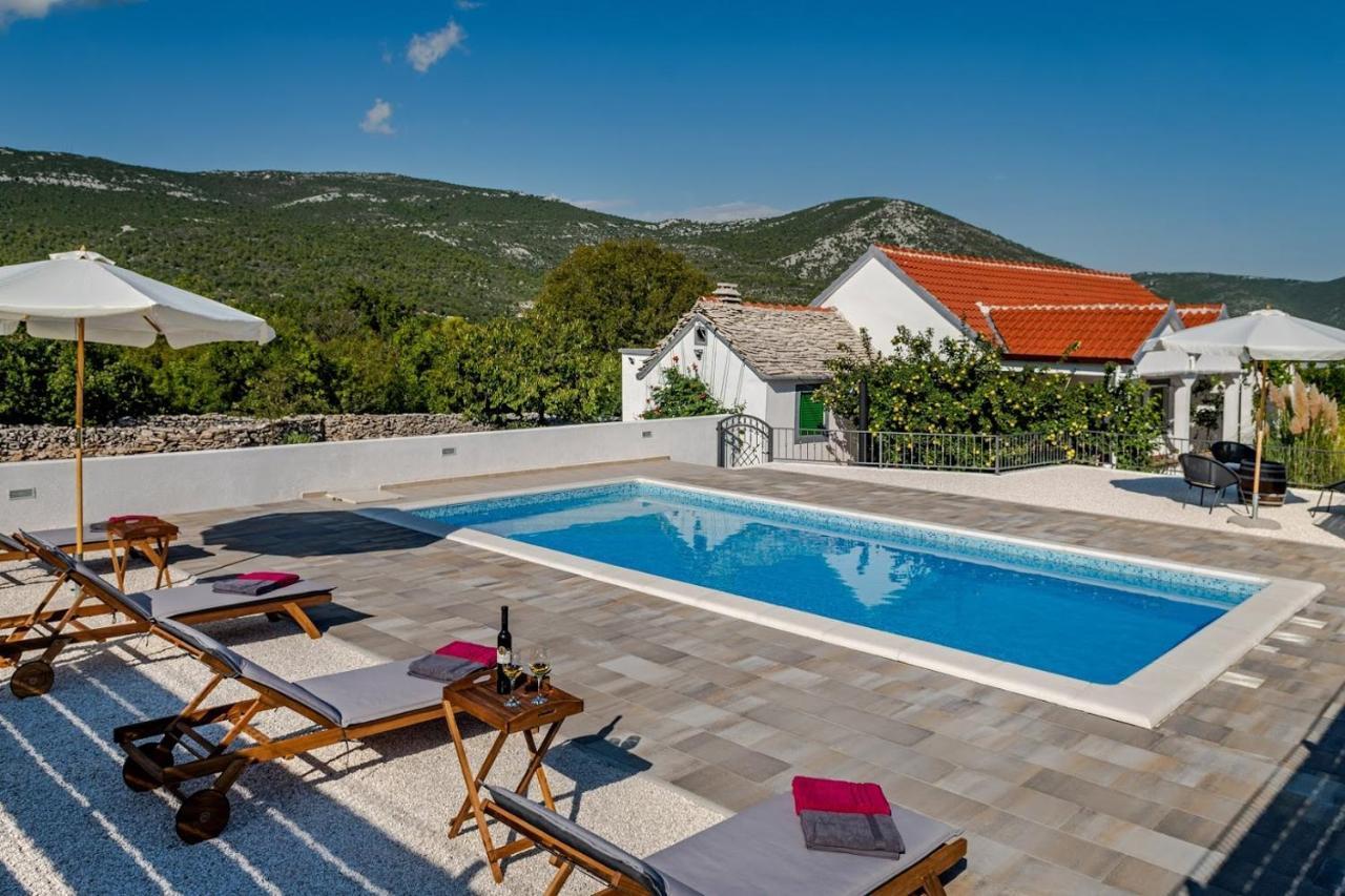 House Camellia With Fenced Pool And Playground Villa Blizna Donja Dış mekan fotoğraf