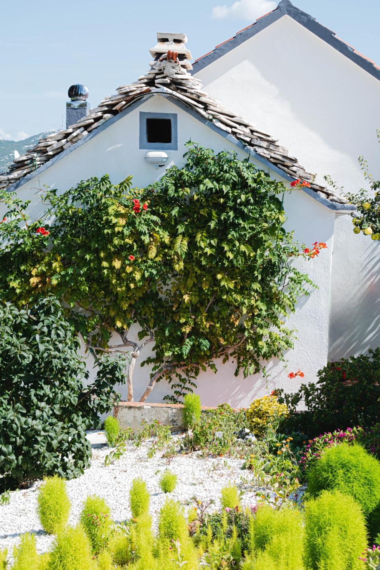 House Camellia With Fenced Pool And Playground Villa Blizna Donja Dış mekan fotoğraf